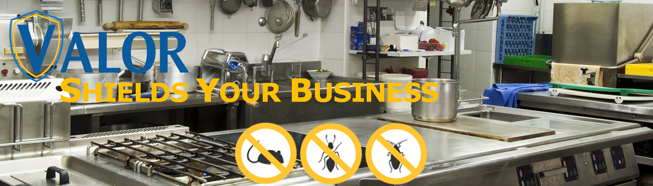 VALOR shields your BUSINESS