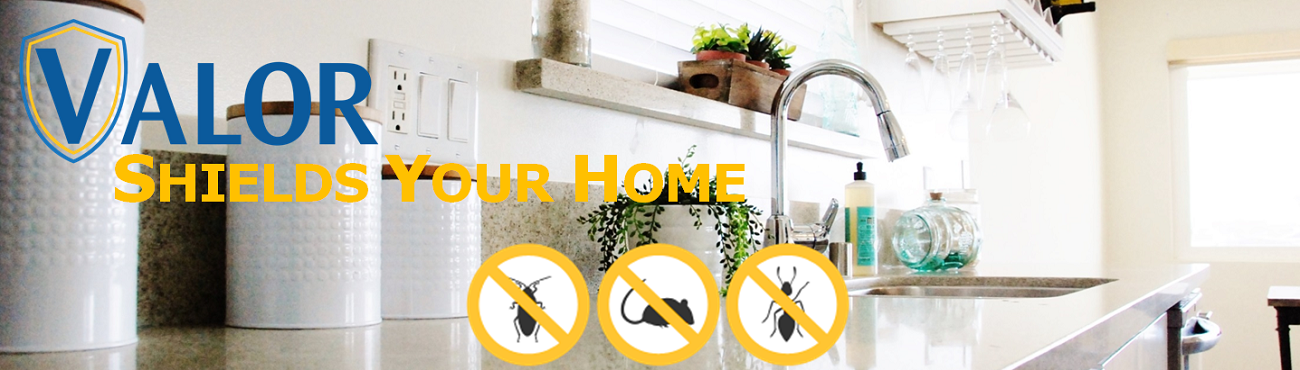 VALOR shields your HOME