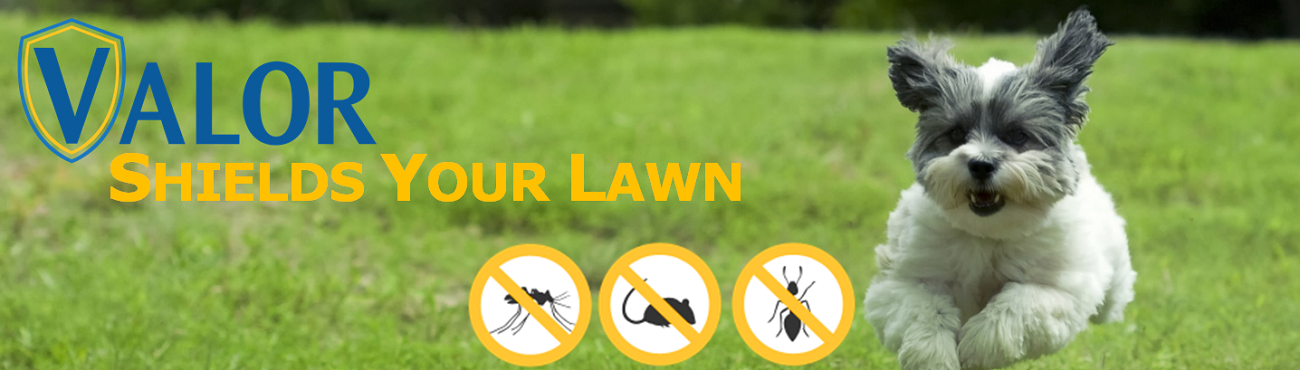 VALOR shields your LAWN